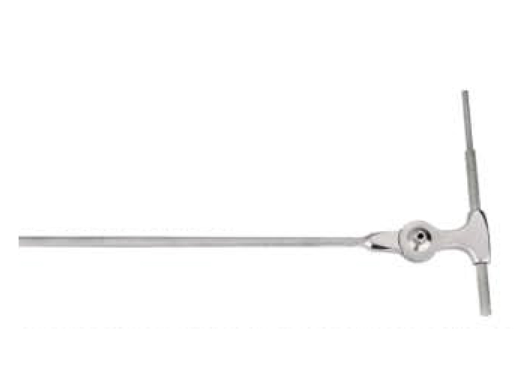 Ankle joint movement device