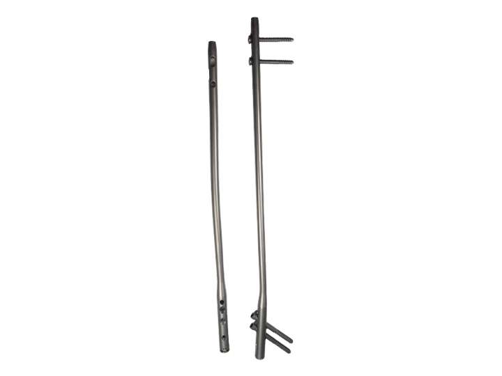 Expert femur intramedullary nails
