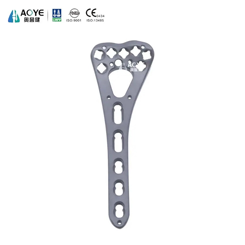Distal Radius Volar Double-Column Locking Plate-II