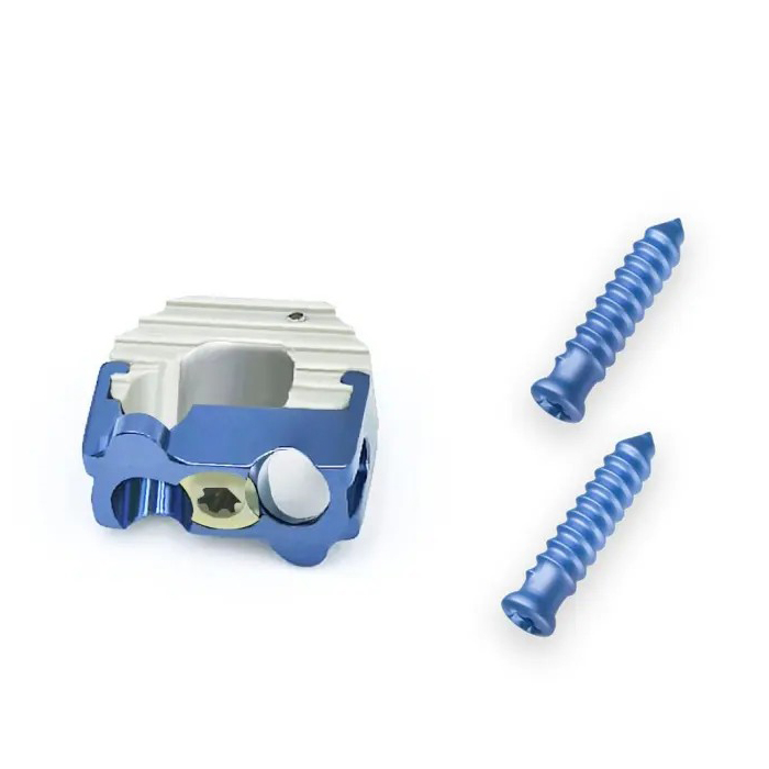 Cervical PEEK Cage (2 Locking Screws)
